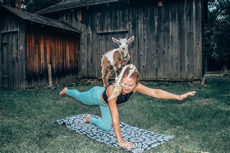 In 2016, the family hobby and passion was formally made a business venture. . Goat yoga near syracuse ny